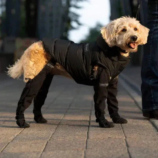 Hundestiefel mit Hosenträgern | Rutschfest & Atmungsaktiv | Schutz für Pfoten bei Outdoor-Abenteuern