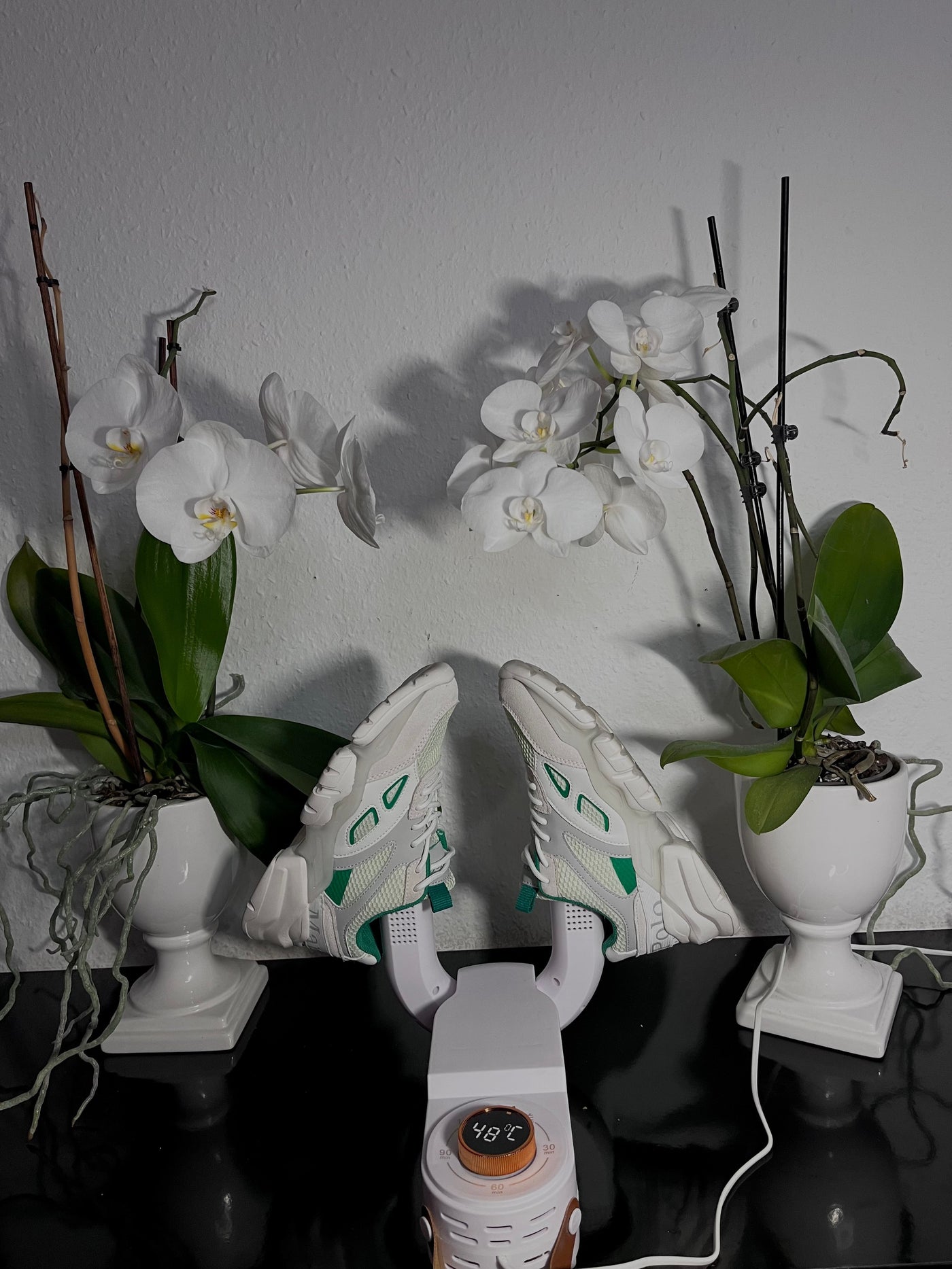 SchuhBrise™ Schuhe sofort trocken