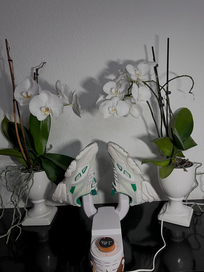 SchuhBrise™ Schuhe sofort trocken