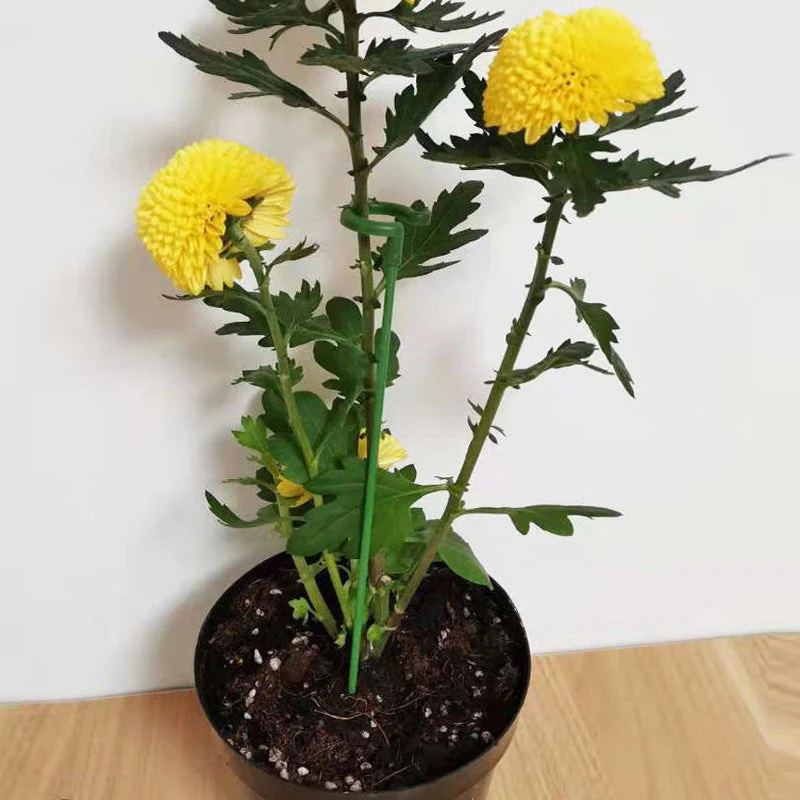GrünerSpross™ Blühender Garten Saatgut