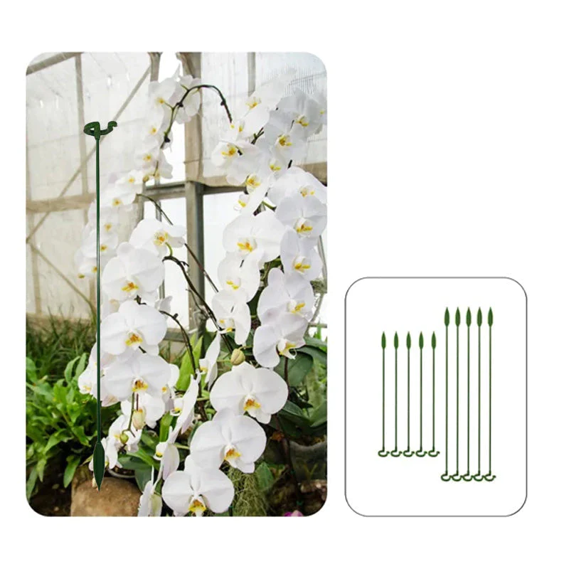 GrünerSpross™ Blühender Garten Saatgut