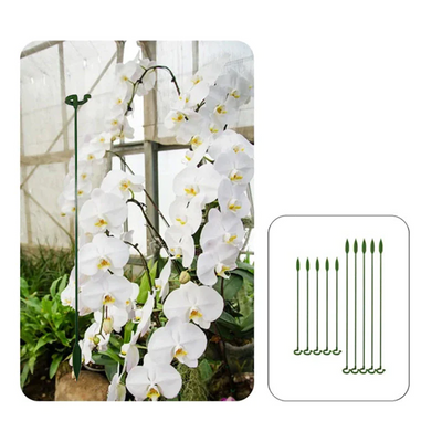 GrünerSpross™ Blühender Garten Saatgut