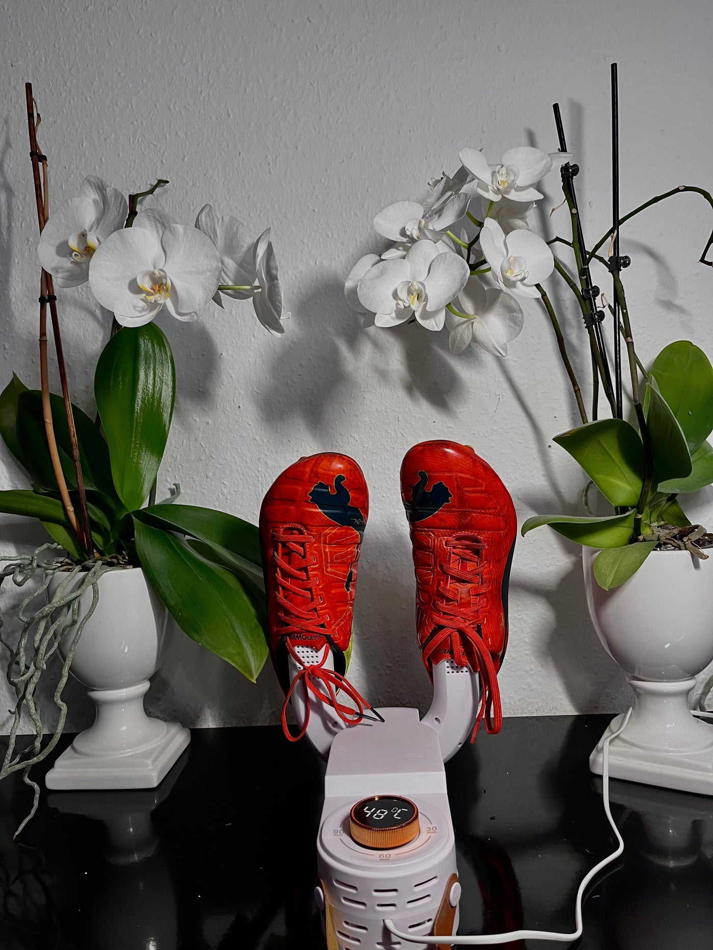 SchuhBrise™ Schuhe sofort trocken
