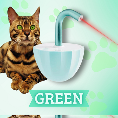KatzenFlimmern™ Unbegrenzte Katzenenergie