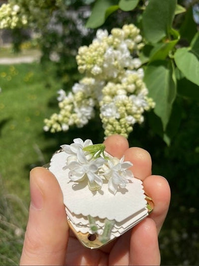 Mikro-Blumenpresse | Handgefertigt aus Silber & Messing | Inkl. 10 Blätter Herbarium-Papier