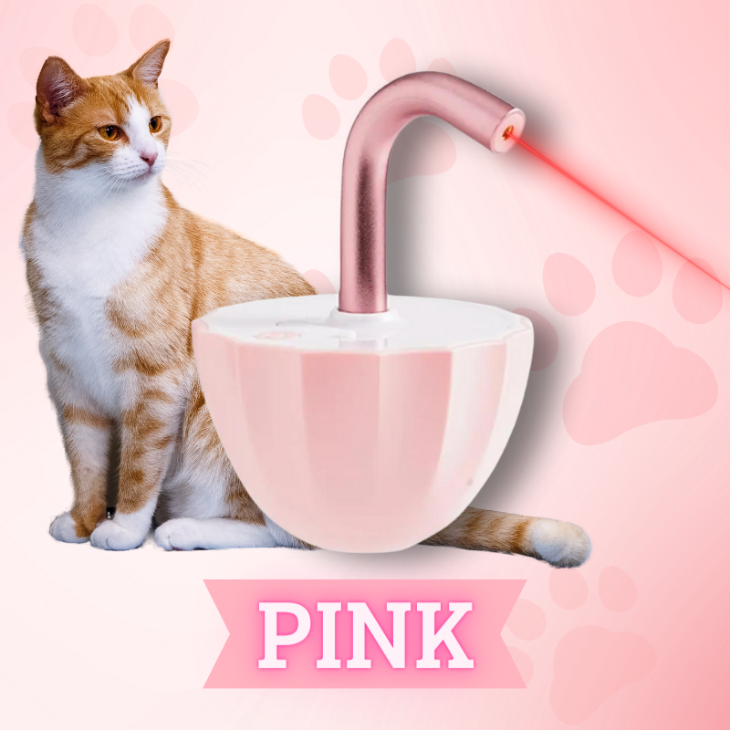 KatzenFlimmern™ Unbegrenzte Katzenenergie