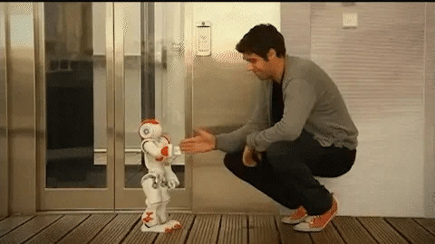 Kinder Lernroboter | Intelligentes Spielzeug mit Gestensteuerung | Musik, Tanz & Programmierung | Geschenk zu Weihnachten & Geburtstag