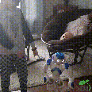 Kinder Lernroboter | Intelligentes Spielzeug mit Gestensteuerung | Musik, Tanz & Programmierung | Geschenk zu Weihnachten & Geburtstag