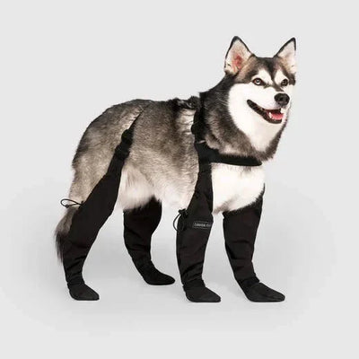 Hundestiefel mit Hosenträgern | Rutschfest & Atmungsaktiv | Schutz für Pfoten bei Outdoor-Abenteuern
