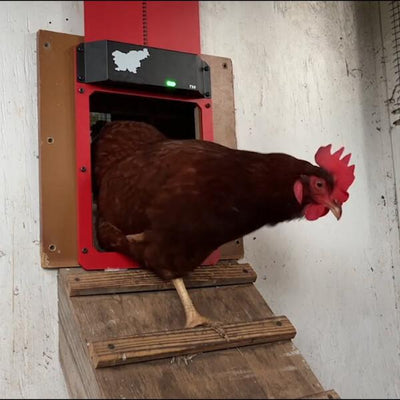 GeflügelWächter™ Automatisierte Coop-Sicherheit