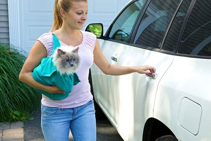 KätzchenTrager™ Bequemes Reisen für Katzen