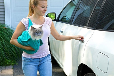 KätzchenTrager™ Bequemes Reisen für Katzen