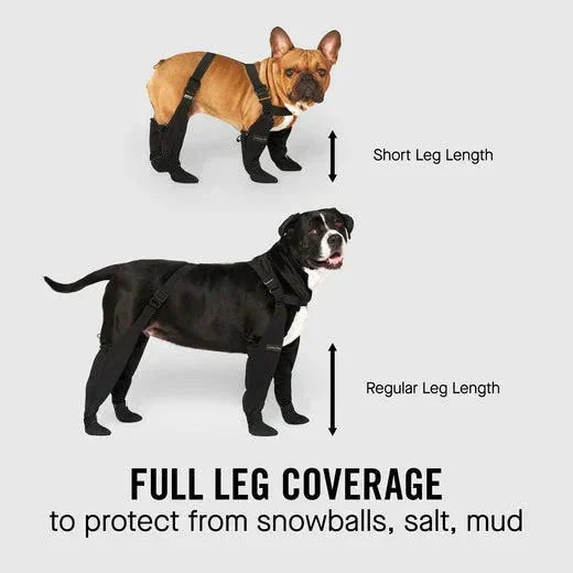 Hundestiefel mit Hosenträgern | Rutschfest & Atmungsaktiv | Schutz für Pfoten bei Outdoor-Abenteuern
