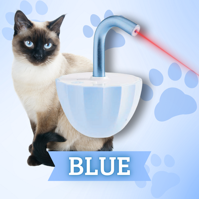 KatzenFlimmern™ Unbegrenzte Katzenenergie