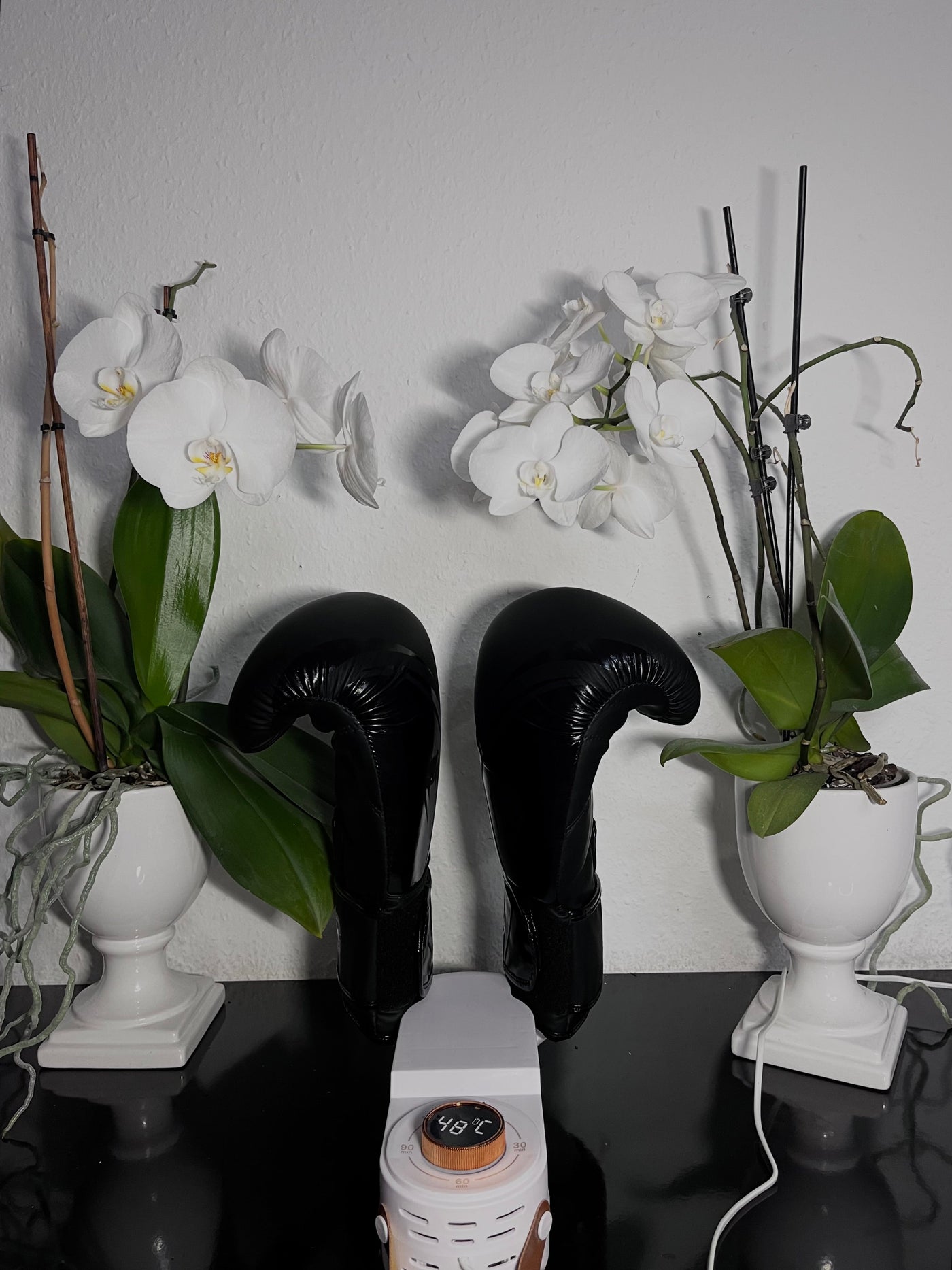 SchuhBrise™ Schuhe sofort trocken
