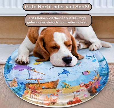 WeichePfoten™ Fesselnde sensorische Erfahrung