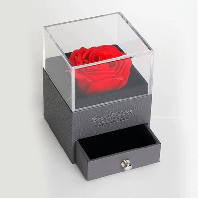 Die Beloved Spezial-Geschenkbox