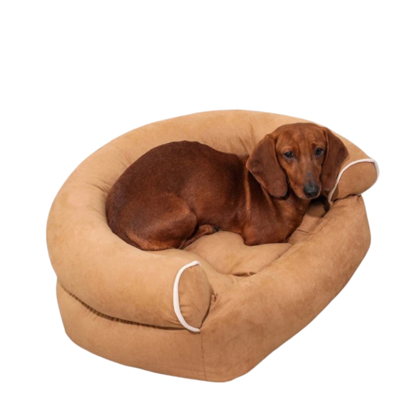 Hundebett mit Memory-Schaum | Orthopädische Hundeliege | Abnehmbarer Bezug | Weiches Wildleder-Design