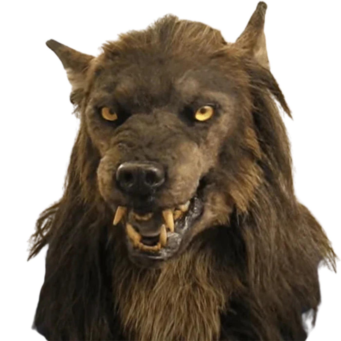 Werwolf Maske Halloween | Realistische Silikon-Maske mit Kunstfell | Kostüm & Cosplay