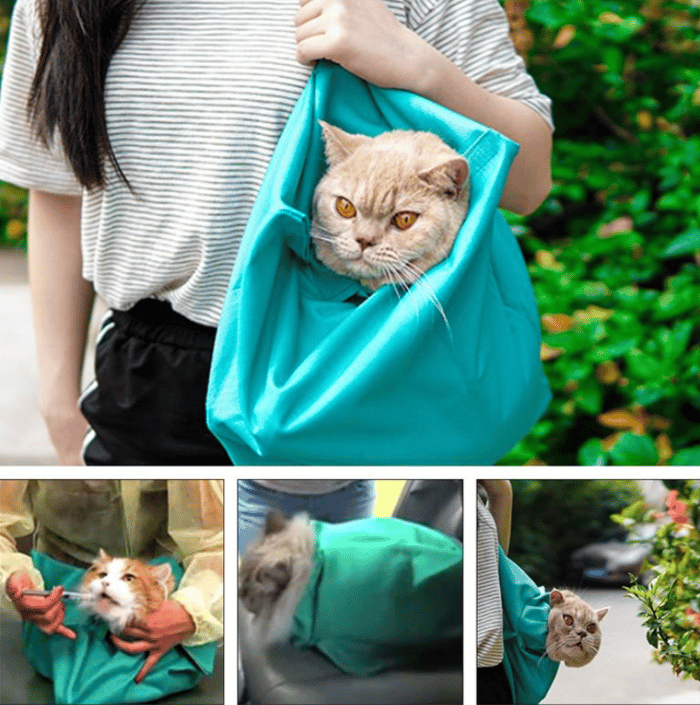 KätzchenTrager™ Bequemes Reisen für Katzen