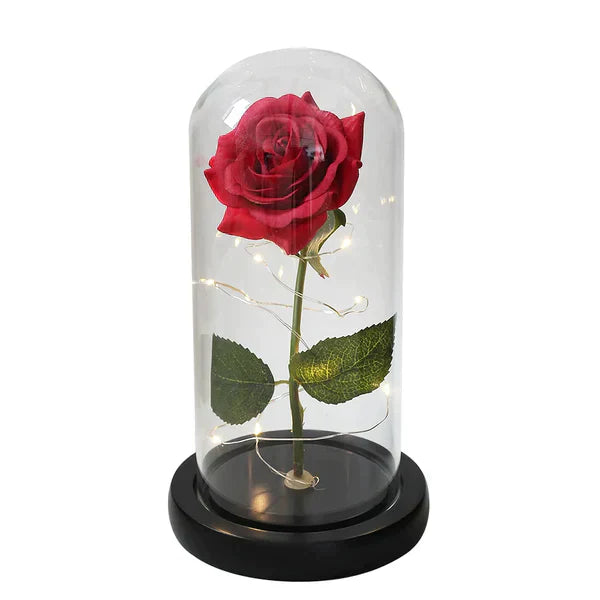 Galaxie für immer Rose Lampe | Ewige Rose im Glasdom | LED Deko Lampe | Symbol für Liebe & Zeitlose Schönheit