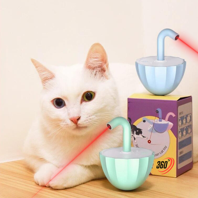KatzenFlimmern™ Unbegrenzte Katzenenergie
