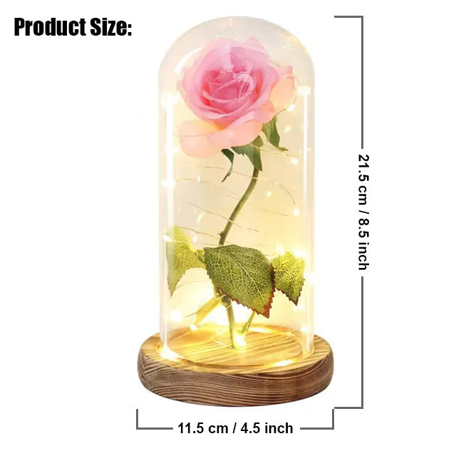 Galaxie für immer Rose Lampe | Ewige Rose im Glasdom | LED Deko Lampe | Symbol für Liebe & Zeitlose Schönheit