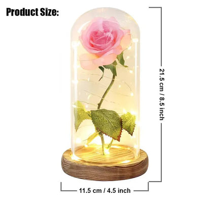 Galaxie für immer Rose Lampe | Ewige Rose im Glasdom | LED Deko Lampe | Symbol für Liebe & Zeitlose Schönheit