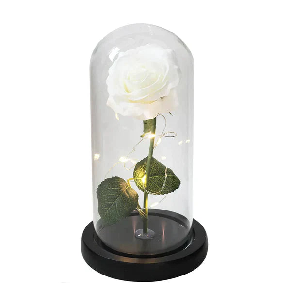 Galaxie für immer Rose Lampe | Ewige Rose im Glasdom | LED Deko Lampe | Symbol für Liebe & Zeitlose Schönheit