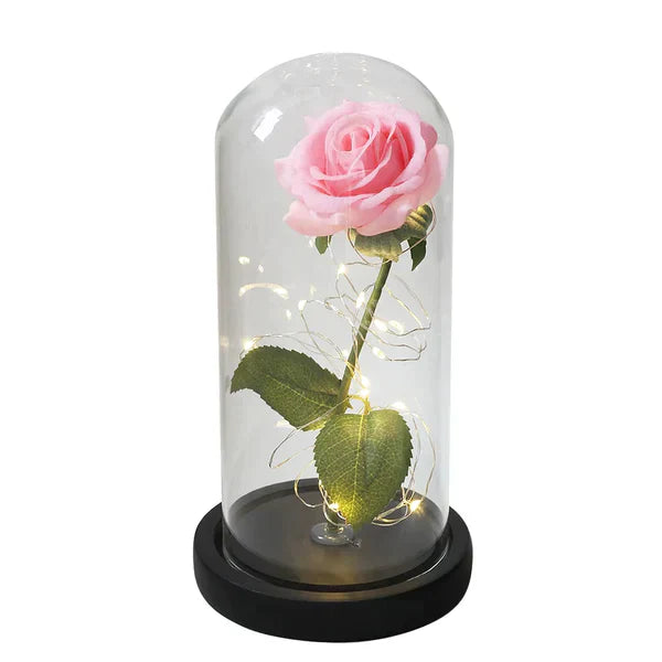 Galaxie für immer Rose Lampe | Ewige Rose im Glasdom | LED Deko Lampe | Symbol für Liebe & Zeitlose Schönheit